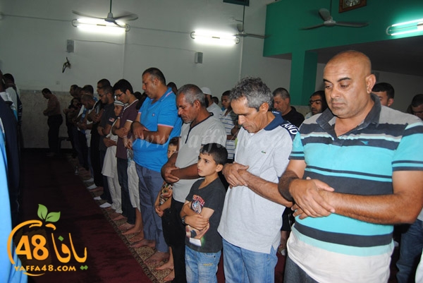 trawe7 zatona (4).JPG